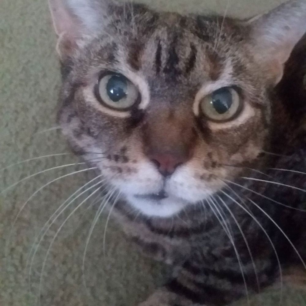 Meet your Posher, Kathleen